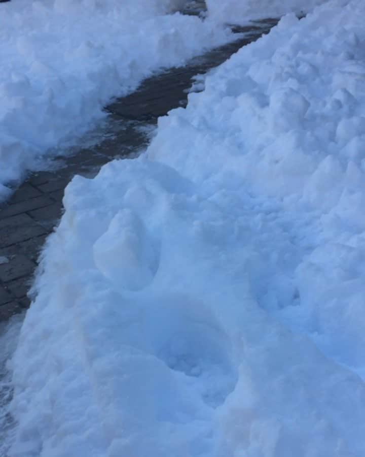 藍のインスタグラム：「#僕の初雪」