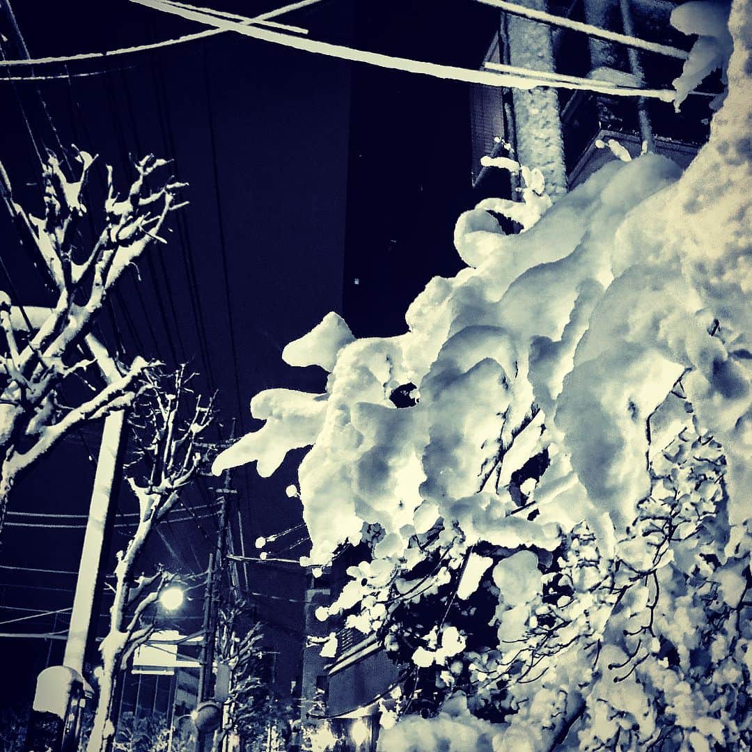 のインスタグラム：「四年ぶりの大雪警報から明けて。。 都心でこの景色はなかなか見れないねー。  #東京 #大雪 #情緒 #雪だるま #冷たい」