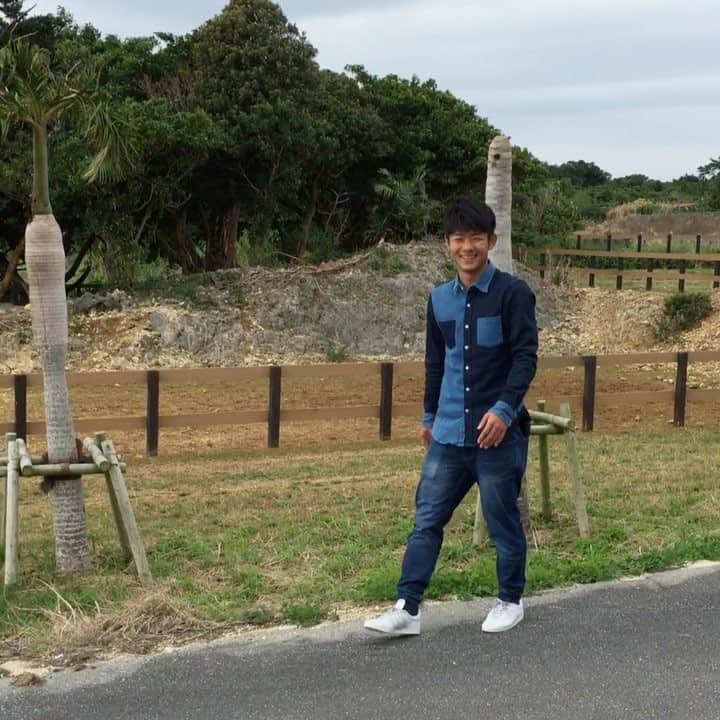 のインスタグラム：「うちなーファームで馬をニーブラしようとする茂木🐴💪 #無言でダンソン #ニーブラ失敗 #うちなーファーム」