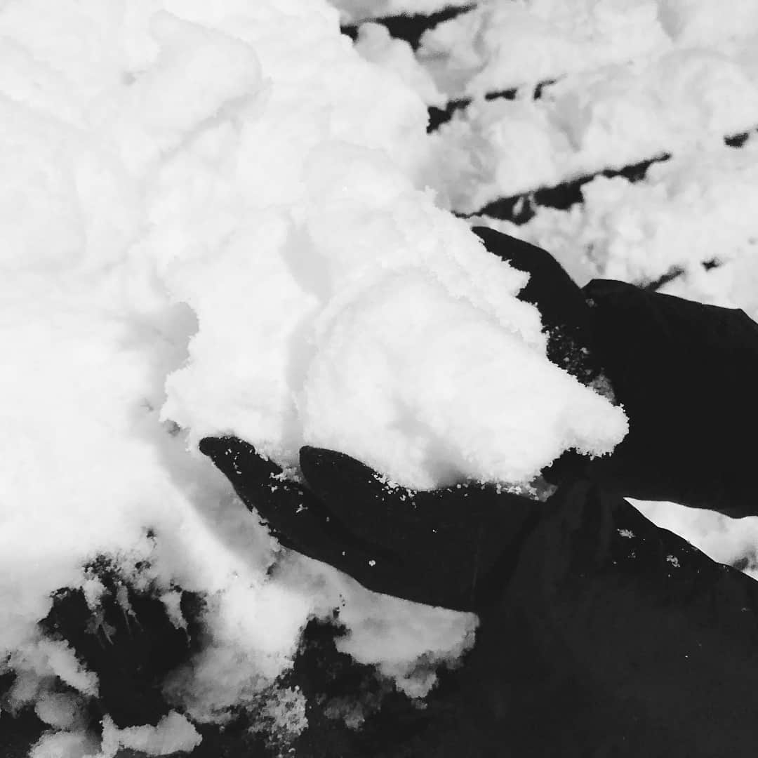 ポンさんのインスタグラム写真 - (ポンInstagram)「昨夜はすごい雪でした☃️」1月23日 17時24分 - ponchan.yomepon