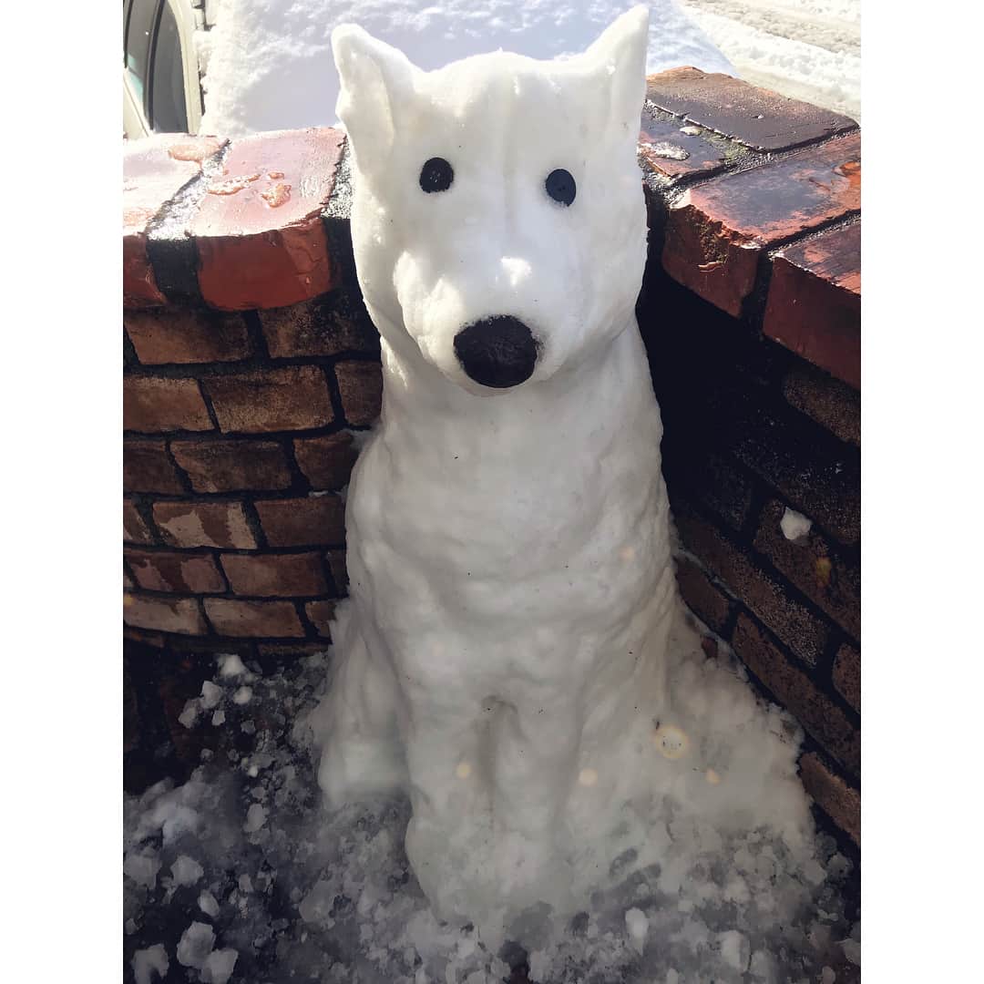 松嶋恵里さんのインスタグラム写真 - (松嶋恵里Instagram)「♡ 犬だるまつくった☃️🐩🐩🐩 2時間で溶けた😂 . . #雪遊び#雪だるま#犬だるま#大雪#ゴールデンレトリバー#白い犬#不審がる犬#鼻はアボカドの皮#雪だるまつくろう#goldenretriever#snowman#snowart#snowdog#whitedog#mydog#tokyo#l4l」1月23日 18時02分 - eri_mtsm0215