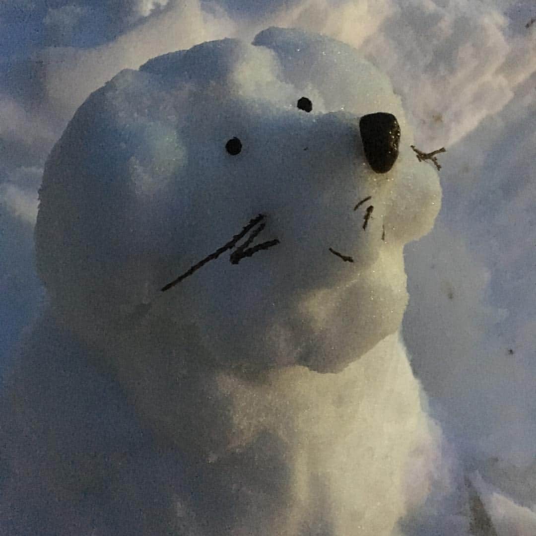 上野樹里さんのインスタグラム写真 - (上野樹里Instagram)「お月さま、きれいだ🌙  #雪だるま #雪だるまつくろう  #いぬ  #自作雪だるま」1月23日 18時15分 - _juri_art_
