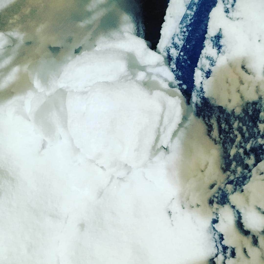 のインスタグラム：「ツイッターでは報告してたのですが、ゆうきまる一号は無残なただの雪として発見されました。 ゆうきまる一号を応援してくださった皆様ありがとうございました。」