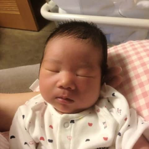 いなりさんのインスタグラム写真 いなりinstagram ブス ブス ブス ブースッ 赤ちゃんて無差別に可愛いものだと思っていたよ ゴリラを生んだ ゴリライト 生後2日目 Japanesegorira ライくん 1月23日 21時34分 Shibainuinari