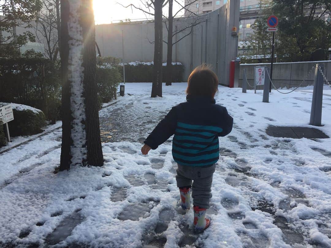 長崎真友子さんのインスタグラム写真 - (長崎真友子Instagram)「雪の中をザクザク。 初めて雪と戯れる息子。冷たい雪の感触より、ズボズボっと歩く感じにハマっているようでした！ 今日は、どうしてものお仕事なので、息子連れて出勤です‼︎ #プレママライフ  #ママリ #instamama  #第二子妊娠中  #マタニティライフ #プレママ #プレママライフ #第二子妊娠中 #抱っこマン #男の子ママ #切迫早産 #妊婦検診 #maternity #妊娠後期 #pregnantlife #pregnancy #妊娠中 #マタニティ記録 #妊娠9ヶ月 #プレママ友募集 #妊婦 #9months #9month #年子妊娠中 #年子育児 #年子ママ #年子 #兄弟 #自宅安静 #ワーママ #ワーキングママ」1月24日 9時22分 - mayuko_nagasaki