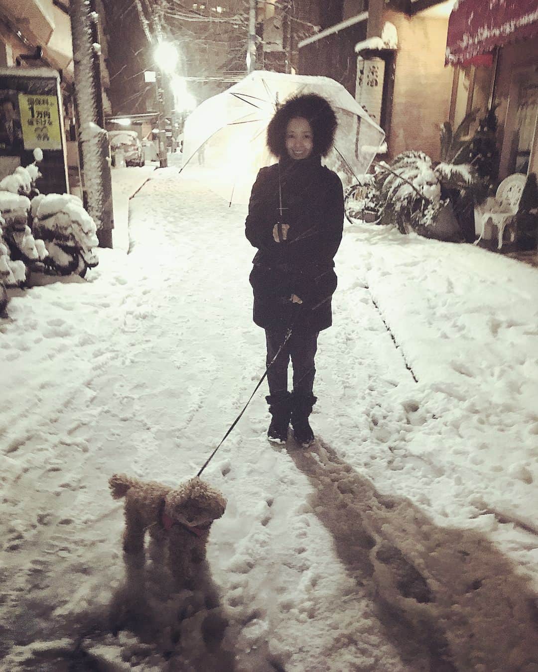 日下裕江さんのインスタグラム写真 - (日下裕江Instagram)「エスキモー⁈  #エスキモー #雪国 #雪国東京 #犬の足跡🐾」1月24日 4時30分 - hiroe___h