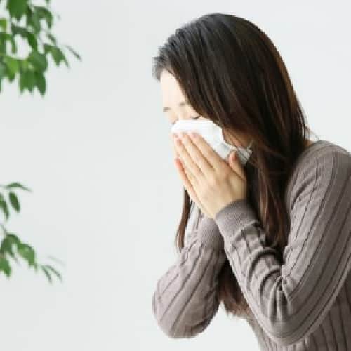 のインスタグラム：「ブログ更新しました！ この時期流行りだす風邪。美味しい旬の冬野菜料理で予防しましょう。 「この時期風邪をひいてる人、多いですよね。 こんにちは、 島の恵みと喰らえ 匠です。 冬のこの時期は、空気が乾燥しているため風邪をひく人が多くなりがちです。 風邪をひく前の予防が大事ですね。 ビタミン....」 当店へのご来店お待ちしております。 ▼詳しくはこちら▼ https://goo.gl/D7EKAd ☎電話番号：050-7542-4655 #和食#大門#刺身#個室完備#飲み放題#宴会#GEMSポータル投稿」