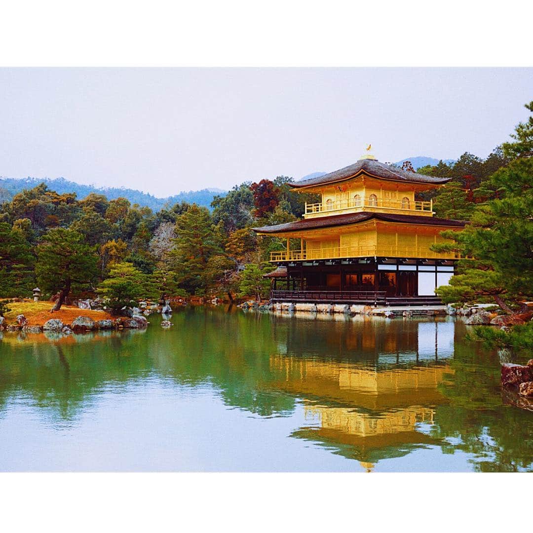 辰巳奈都子さんのインスタグラム写真 - (辰巳奈都子Instagram)「中学3年の修学旅行以来の金閣寺 ・ ・ 当時は子供で訳もわからず。 大人になって久しぶりに見るとやっぱりいいですね。  #金閣寺  #鹿苑寺  #京都 #kyoto #travel #旅行  #旅行好きな人と繋がりたい」1月24日 22時19分 - tatsumi_natsuko