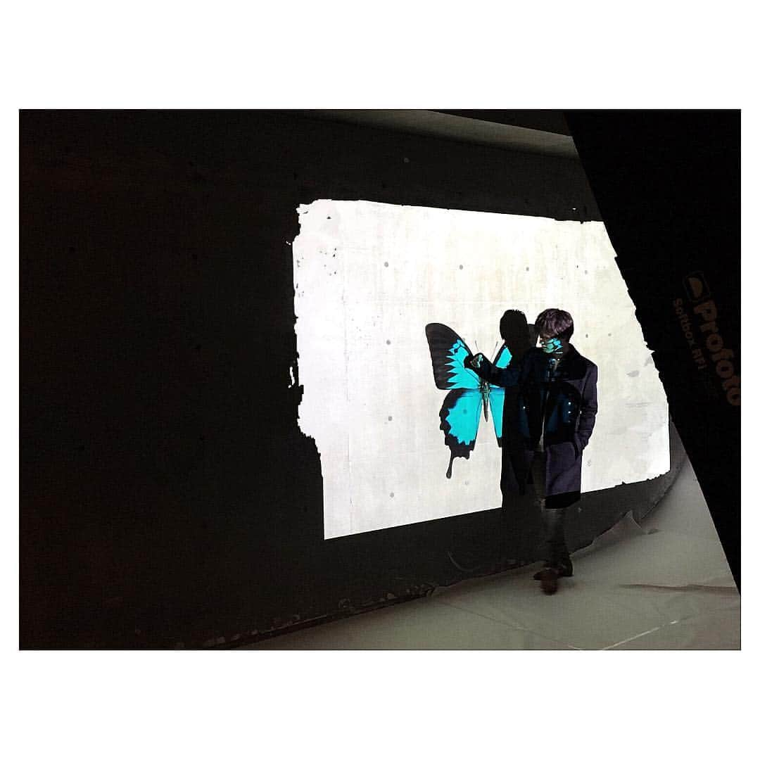 岩田剛典さんのインスタグラム写真 - (岩田剛典Instagram)「Butterfly effect  #🦋」1月25日 0時22分 - takanori_iwata_official