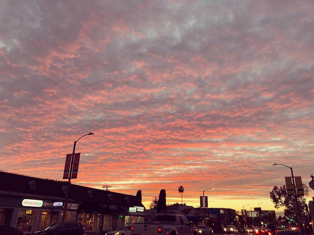 草刈麻有のインスタグラム：「I’m going going, back back, to Cali Cali♫🌴」