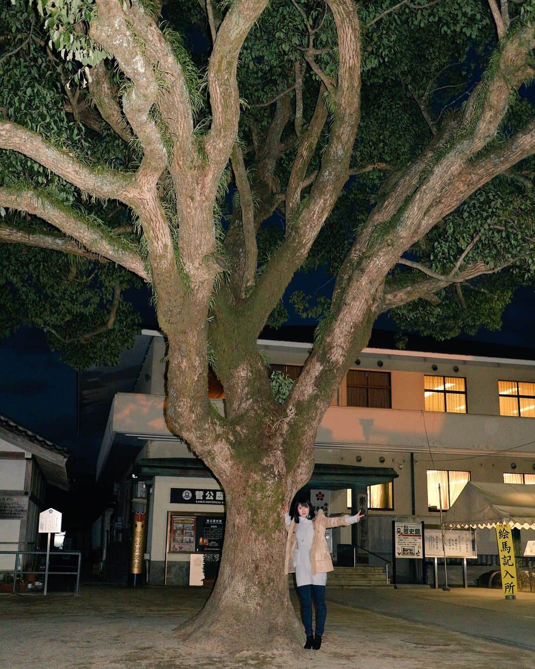 早田ひなのインスタグラム：「太宰府天満宮に行ってきました🙋‍♀️💕 怪我のない1年にしたいと思います😎👍 #太宰府天満宮#楠木」