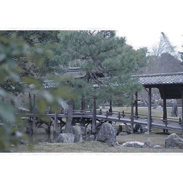 高井直子のグルメインスタ