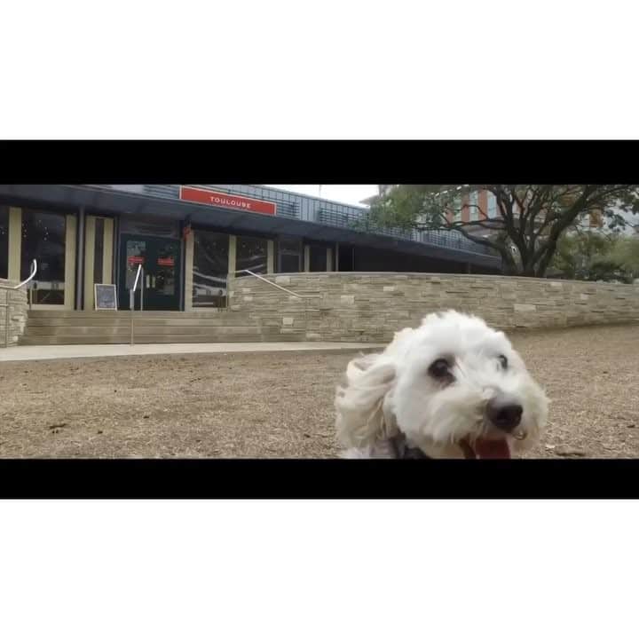 ミア・ハリファのインスタグラム