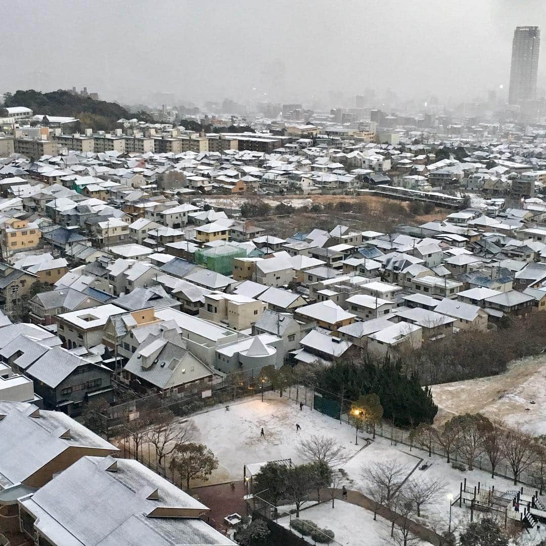 高羽そらのインスタグラム：「この冬、神戸の初めての積雪。夕方に降り出して、あっという間に屋根が白くなった。これくらいなら、綺麗だよね^_^ #寒波#神戸積雪」