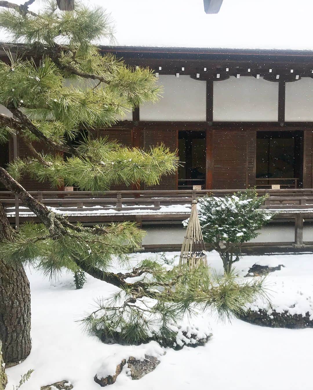 李 雨瀟さんのインスタグラム写真 - (李 雨瀟Instagram)「#そうだ京都行こう  誕生日当日に京都へプチ観光してきました😊  新幹線の中で向かう道中雪が降ってきてスノーバースデーに❄️ なんだかほっこりしました♡ . 1枚目の写真は #仁和寺 。 見惚れてしまう程の綺麗な景色☺️❤️ 3枚目からは雪の中の #大覚寺 。 冬のお寺もまた風情があって好きです。 今月2回目の京都。何度行ってもまた訪れたくなる場所です🇯🇵 @soudakyoto_official . . . . #outer #moncler @moncler  #tops #zara @zara  #pants #uniqulo @uniqlo  #shoes #converse @converse_jp . . #yuxiaotravel #travel #travelstagram  #国内 #国内旅行 #旅行 #京都 #PR #fashion #ootd #160cm #160cmコーデ #カジュアルスタイル  #京都好き #旅好き #日本旅行 #旅女子」1月26日 19時22分 - yuisho_ri