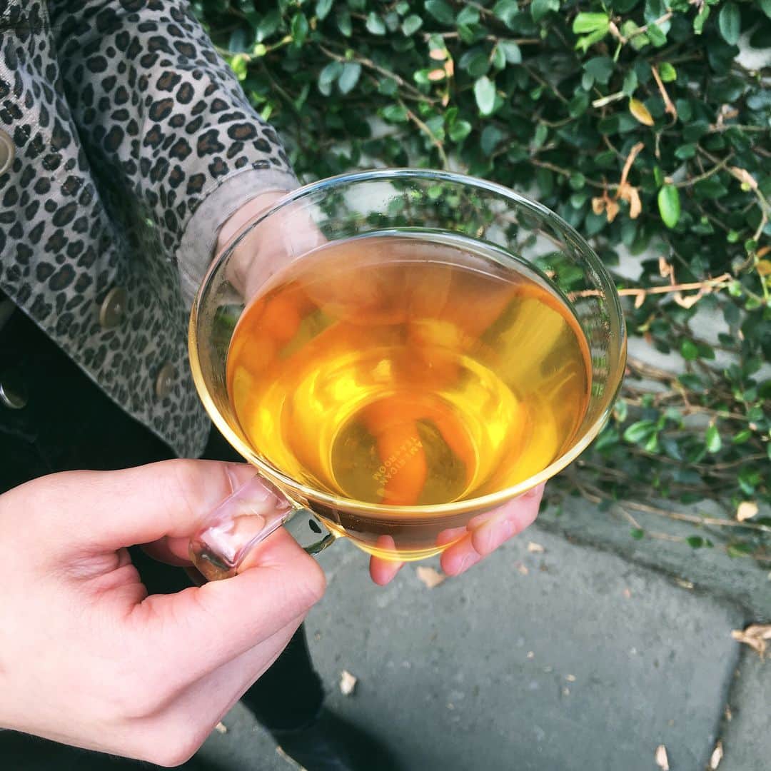American Tea Roomのインスタグラム：「🌴Delight in tropical and floral flavors with Coconut Oolong Tea 🥥」