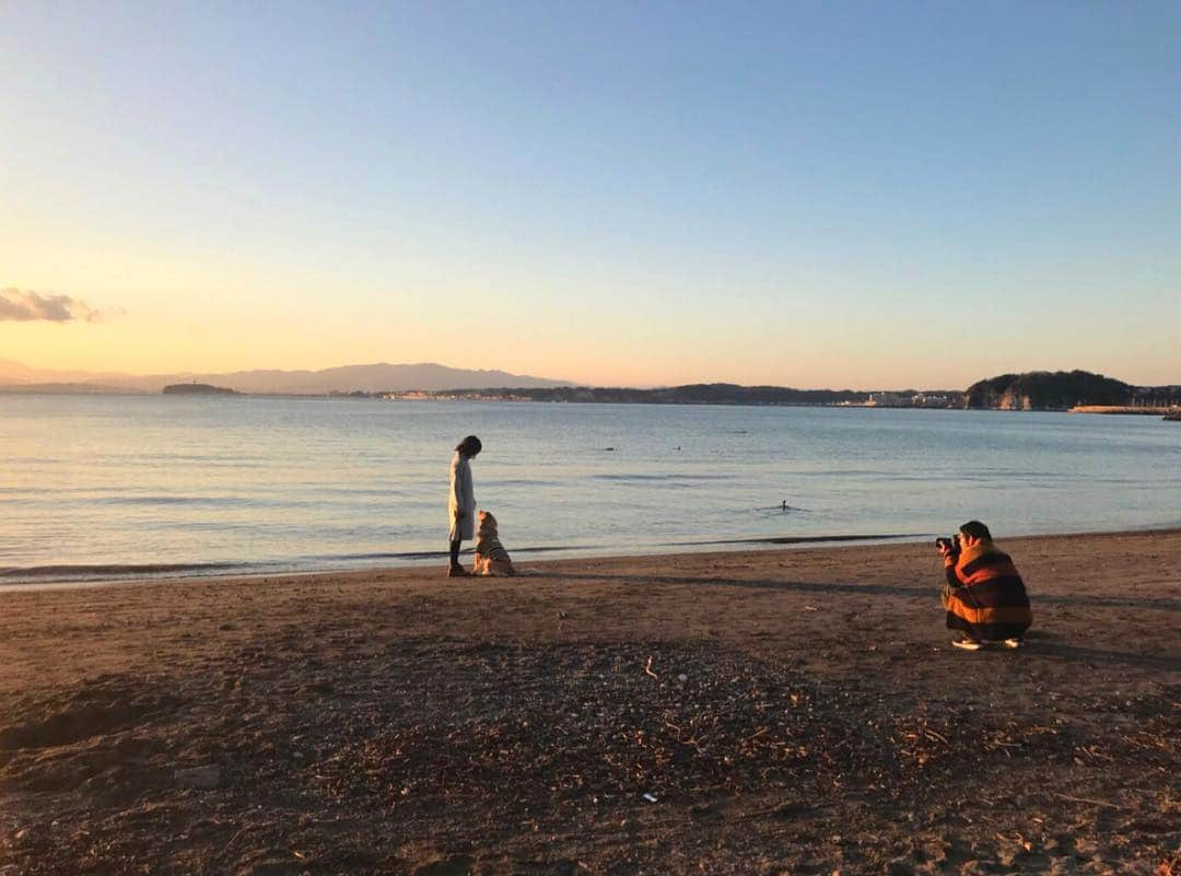 二見梓さんのインスタグラム写真 - (二見梓Instagram)「☀️🗻🐶📷 カイもデビュー！大暴れしました。 また後日告知します📖 #shooting#shootingday#magazine#offshot」1月27日 21時20分 - a.z.u.0.5.1.5