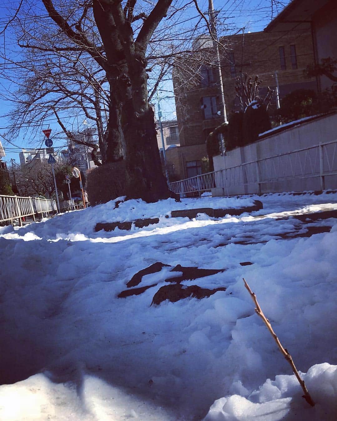 吉田羊さんのインスタグラム写真 - (吉田羊Instagram)「新米と大先輩。  #残雪をザクザクと踏む音が好き #小さい頃好きだったのは #母のハイヒールが #砂利道やアスファルトを踏む音 #春よこい」1月27日 14時00分 - yoshidayoh_official