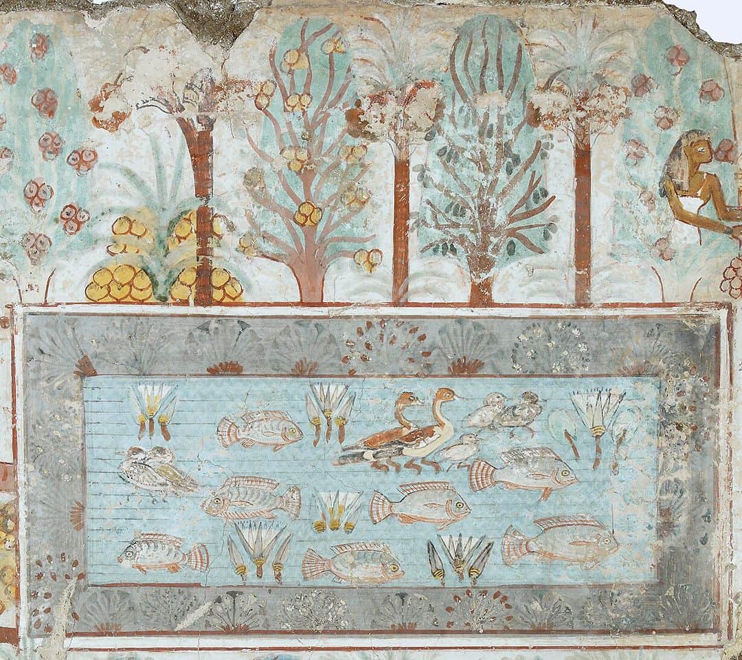 のインスタグラム：「Nebamun was a wealthy accountant who lived around 3,350 years ago in ancient Egypt. This painting from his tomb shows how he wanted his garden to be in the afterlife. The painting is similar to the real gardens of wealthy Egyptians at this time – it has a pool full of birds and fish, borders of flowers and rows of fruit trees. The dates on the trees are even shown with different degrees of ripeness! On the right a goddess is leaning out of a tree to offer fruit and drinks to Nebamun (who is now lost from this fragment). Nebamun’s tomb would have been filled with idealised images like this, reflecting how the affluent from this time wanted to be remembered.  Learn more about the life of Nebamun in Room 61.  #AncientEgypt #Egypt #AncientEgyptian #AncientHistory #painting #garden #gardening #fish #flowers #fruit」