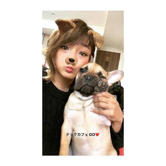 RENA（久保田玲奈）さんのインスタグラム写真 - (RENA（久保田玲奈）Instagram)「‪I’m coming dog cafe now. ‬ ‪今日はペットショップで‬ ‪お買い物からのドックカフェ☕️❤️‬ ‪#frenchbulldog #フレンチブルドッグ #family #休日の過ごし方 #おはぎ #みたらし #ohagi #mitarashi‬」1月28日 16時00分 - sb_rena