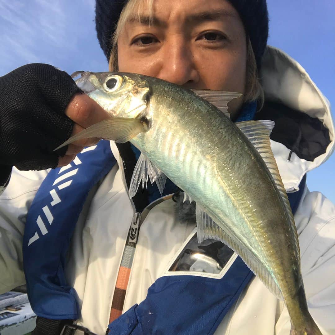 つるの剛士さんのインスタグラム写真 - (つるの剛士Instagram)「東京湾、 ご馳走さま。  #釣るの剛士  #爆釣」1月29日 13時29分 - takeshi__tsuruno