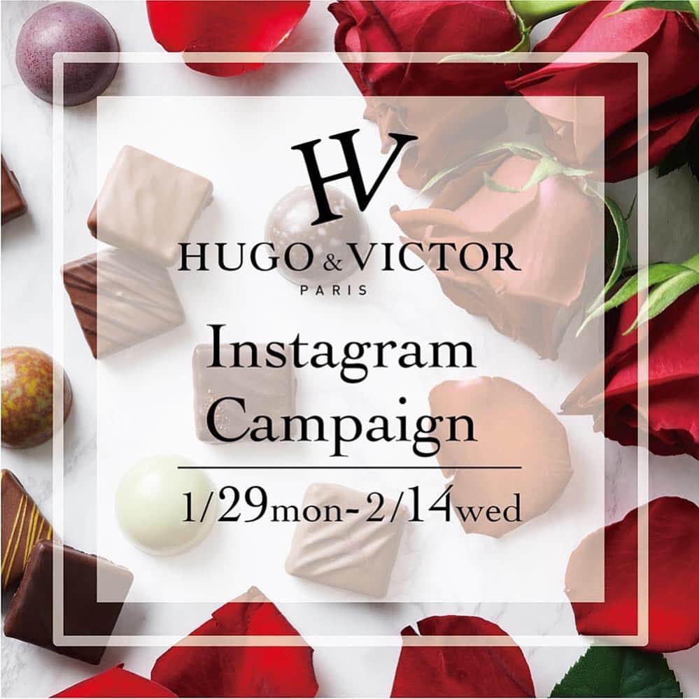 HUGO & VICTORのインスタグラム
