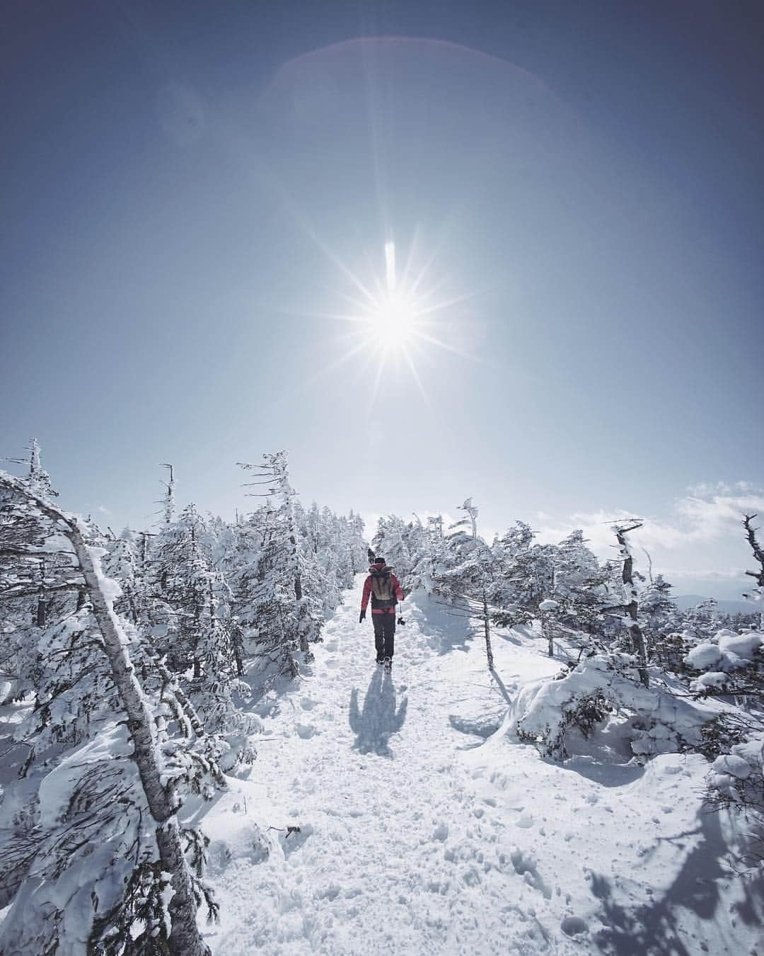 市川渚さんのインスタグラム写真 - (市川渚Instagram)「Climbing towards the sun☀︎ . #nagikotrip#winterclimbing#北横岳#長野#長野県#登山#雪山登山#mtkitayokodake#sonya#sonya7ii#a7ii#voigtlander#ultrawideheliar#landscape#snowscape」1月29日 22時54分 - nagiko