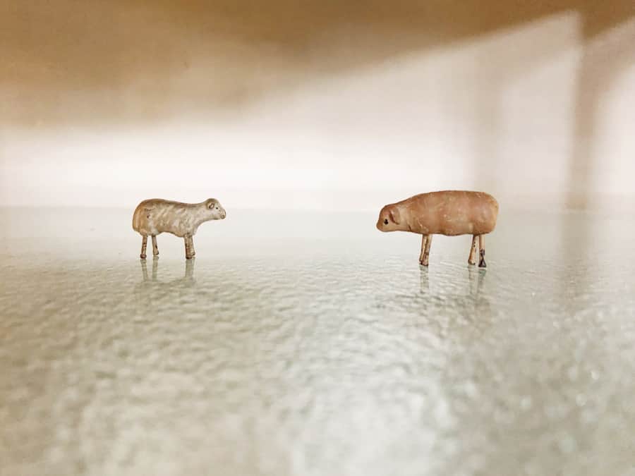 のインスタグラム：「🐑🐏. . . 先日、働いているデザイン事務所の皆で益子へ。 まだ少し雪も残っていて寒かったけれど、楽しかった〜◎ #栃木#益子 #scalesdepartment #pejite」