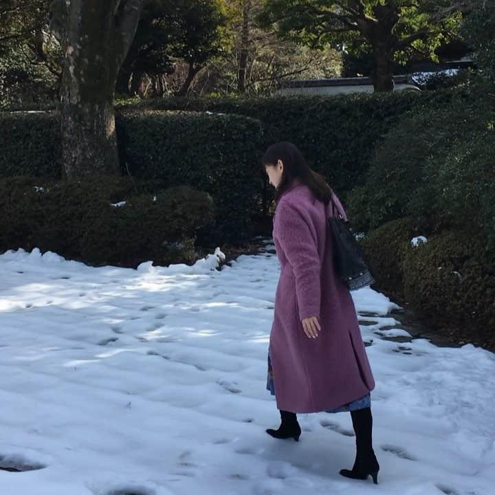 小橋めぐみのインスタグラム：「雪さんぽ❄️」