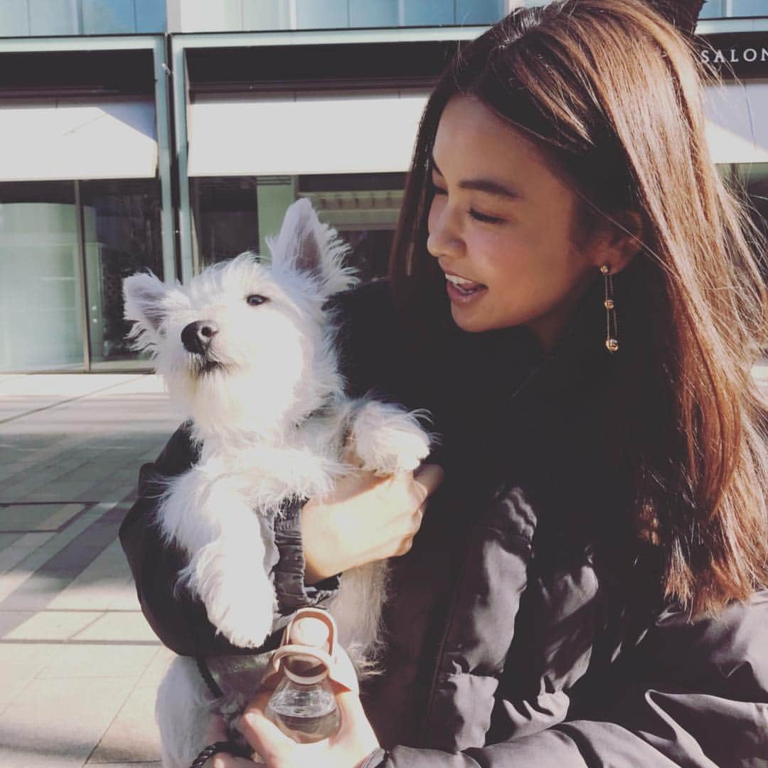 滝沢眞規子さんのインスタグラム写真 - (滝沢眞規子Instagram)「今日は一緒に撮影でした🐶みんなに遊んでもらってよかったねー😊」1月31日 14時33分 - makikotakizawa