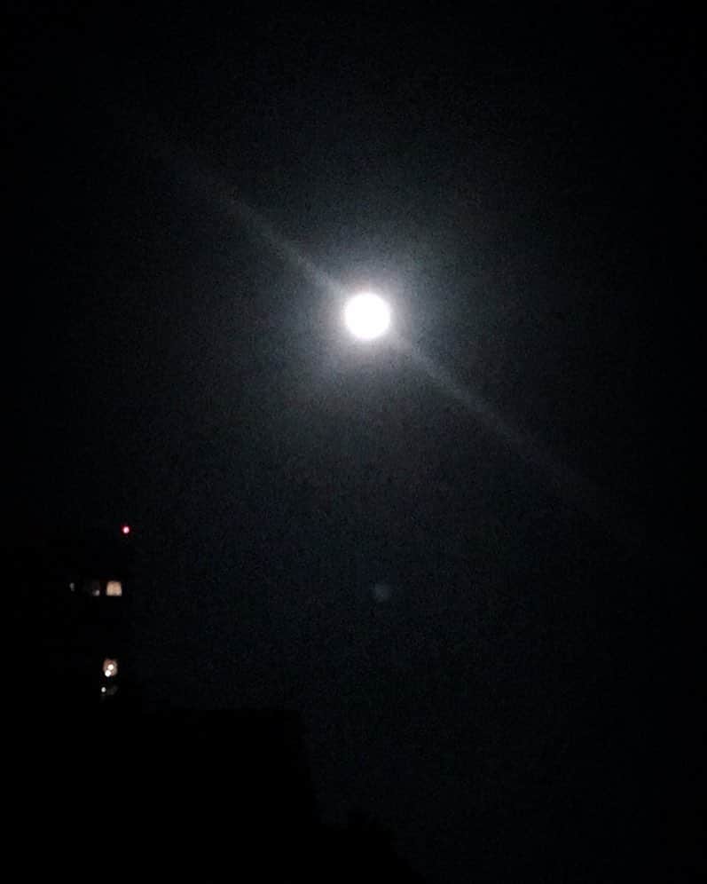 黒川智花さんのインスタグラム写真 - (黒川智花Instagram)「皆既月食🌝 お天気が気になりますが、見られた方は教えてくださいね ・ 今、夜空を見上げたらまんまるお月様がキレイです😆 ・ またあした👋  #皆既月食  #良い夢を  #お月様  #隠れないでね〜っ」1月31日 20時02分 - tomoka_kurokawa_official