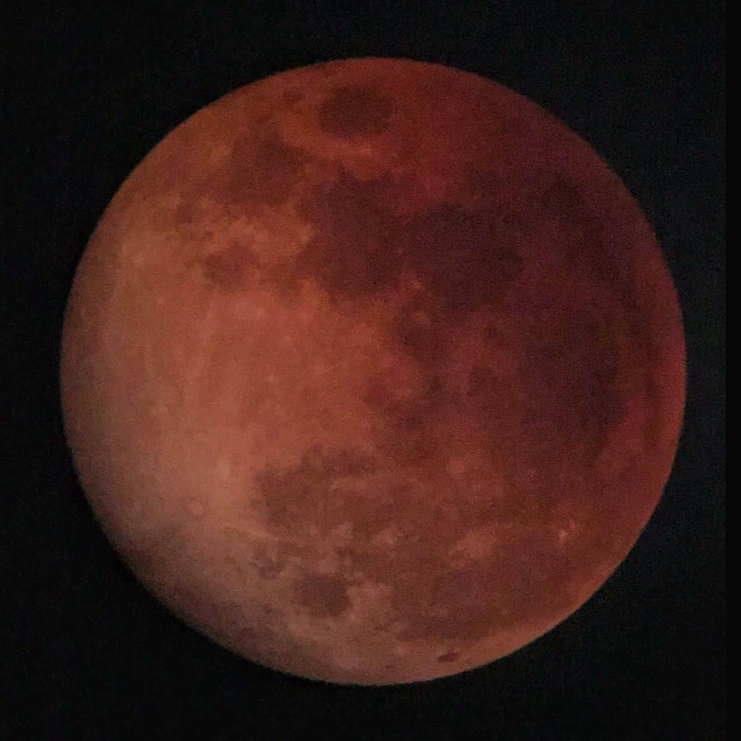 アンミカさんのインスタグラム写真 - (アンミカInstagram)「旦那様が昨夜、お気に入りの天体望遠鏡で撮影したブラッドムーン✨✨スーパームーンでもあったので、月の大きさが際立ちます✨✨ 2枚目はブラッドムーン前の満月🌕✨こちらのブルームーンもシェアします😊✨ photo by @theodore21118miller  #三枚目は特別な満月の夜にディナーしたメンバー #豪から世界に月の映像を配信した自慢の天体望遠鏡で撮影🔭 #月や星の写真撮影が大好きな旦那様 #獅子座満月のパワーは今夜の20時まで続くのでお祈りして下さい✨ #今日はひるキュンにAtsushiくんが登場します！ #明日2日は朝の9時からBBクリームQVCで発売です！ #fullmoon #bloodmoon #supermoon #model #ahnmika #power #happy  @kogamihokogamiho @nica77official」2月1日 11時25分 - ahnmikaofficial