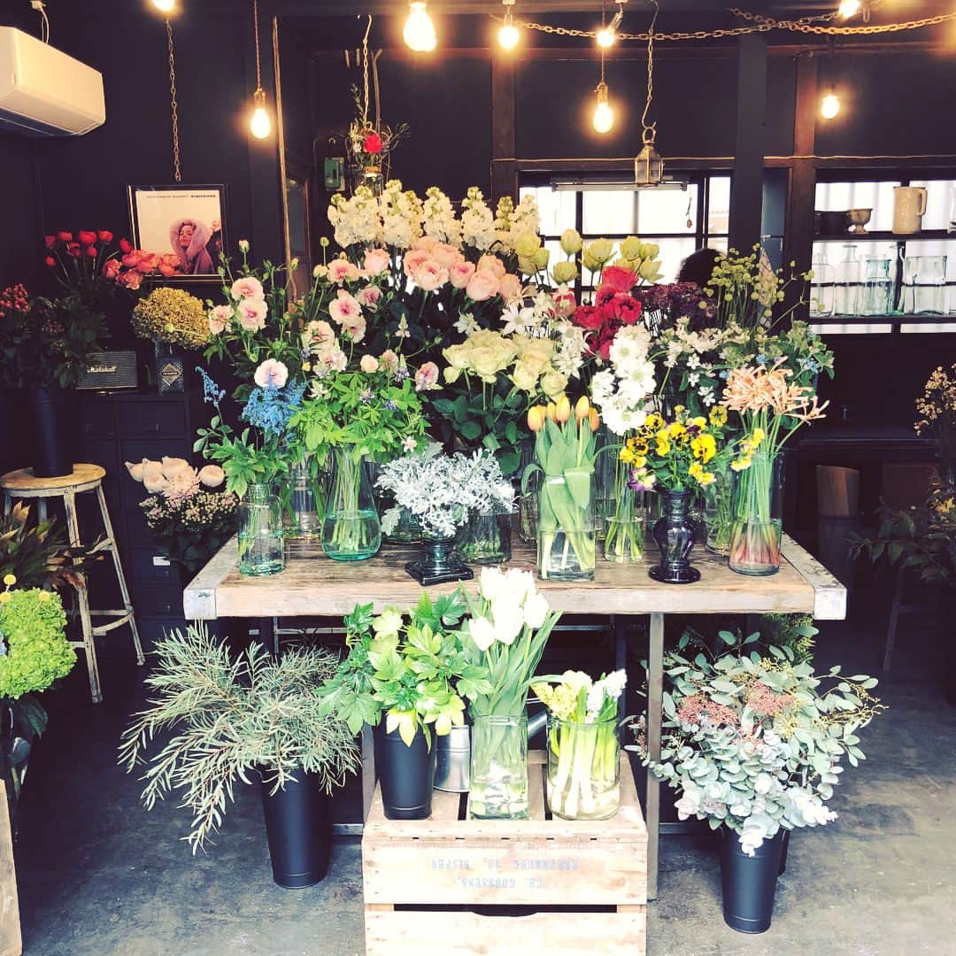 菊地凛子さんのインスタグラム写真 - (菊地凛子Instagram)「😍💐🌷🌹🌸🌼😍 #音空花店 #経堂 #花屋」2月1日 22時43分 - rinkokikuchi