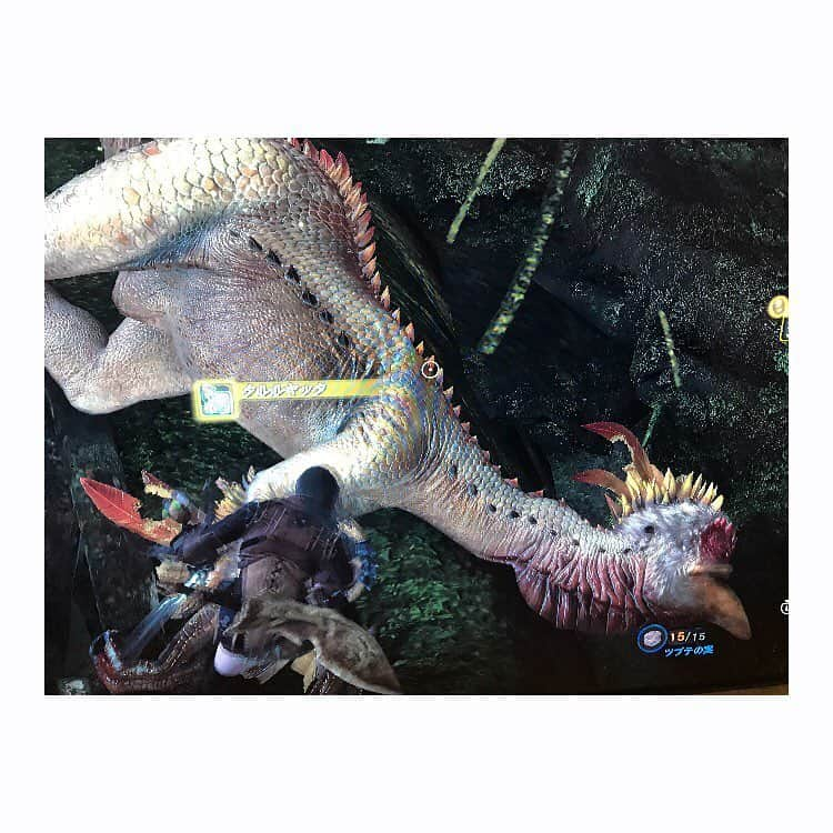 佐野ひなこさんのインスタグラム写真 - (佐野ひなこInstagram)「始めてしまったよ #monsterhunterworld  今日から。 まだ一人狩りしかしてない。。。 仲間が欲しい」2月1日 15時31分 - hinako_sano