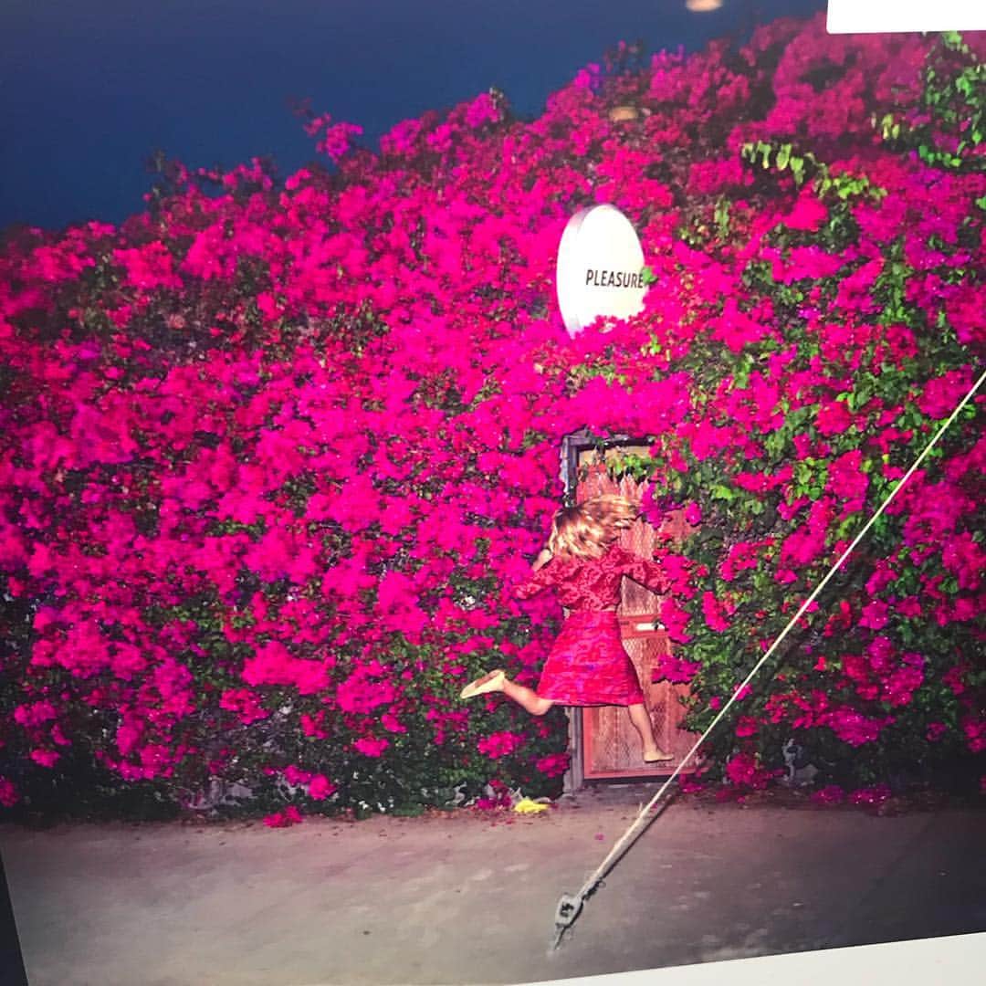 米津玄師のインスタグラム