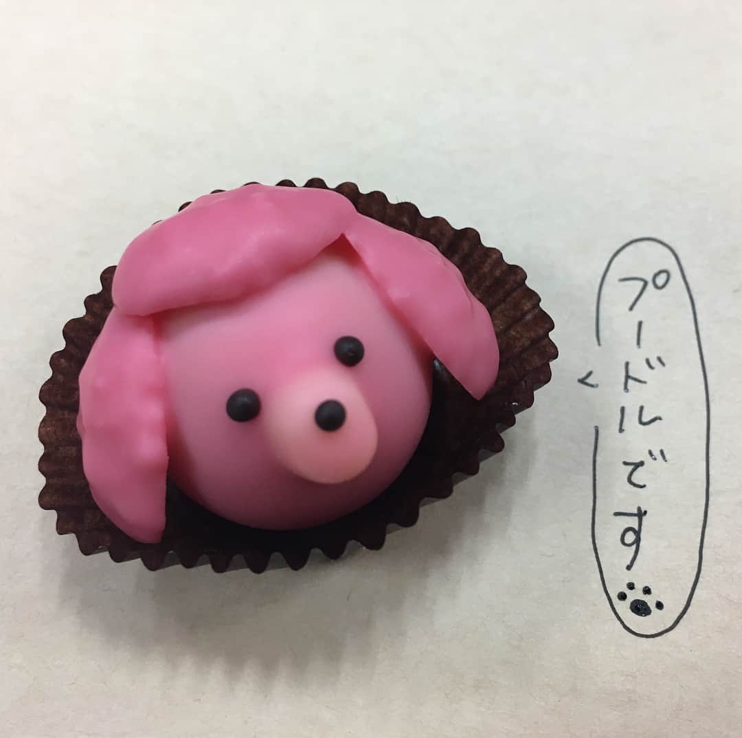 佐竹明咲美さんのインスタグラム写真 - (佐竹明咲美Instagram)「かわいすぎて 食べるのがもったいないチョコ(´･ω･`) 実家で飼っているのがトイプードルなので さらに情がわいてきました。」2月1日 19時33分 - asami_satake