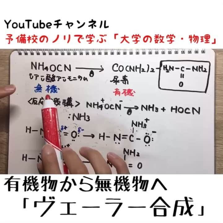 たくみのインスタグラム：「無機物になりたい。そう思うことはありませんか？僕はありません。 . 今回解説したヴェーラー合成は「有機物は生命体が作り出す物質であって、無機物とは全くの別物である」という当時の(誤った)認識を大きく変えた歴史的な化学反応です。 . 医薬系を受ける受験生は、この反応機構までは知らなくて良いので「シアン酸アンモニウムから尿素ができる」という重要事実を知っておきましょう。  #1分解説動画  #ヨビノリ #化学 #生物 #受験 #勉強垢 #勉強垢さんと繋がりたい  #勉強垢さんフォロバします  #大学生の勉強垢  #薬学部」