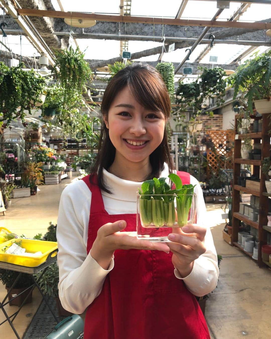 林美沙希さんのインスタグラム写真 - (林美沙希Instagram)「先ほど放送された”リボベジ”。 手軽に出来てオススメです！ 根元を切って水に浸すだけ✨皆さんも再生野菜、試してみてください😊  #テレ朝#jチャンネル#林#リボベジ#再生野菜#小松菜#可愛い#キャノンクリエーション」2月2日 19時24分 - misaki0hayashi
