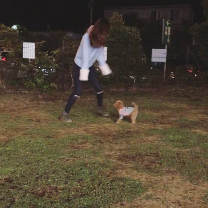 姫野れみのインスタグラム：「今日はヴィヴィのお洋服を 見にきたついでに初ドッグラン🐩⚽️👟 ピョンピョン一生懸命走ってて可愛かった〜 ・ #dog #tiny #tinypoodle #poodle #toypoodle #dogstagram #mydog #babydog #instadog #lovemydog #lovedog #apricot #dogrun #beams  #タイニープードル #トイプードル #タイニー #トイプー #犬 #愛犬 #アプリコット #ふわもこ部 #タイニープードル部 #トイプードル部 #タイニープードルアプリコット #ビームス #トイプードルアプリコット #ドッグラン」