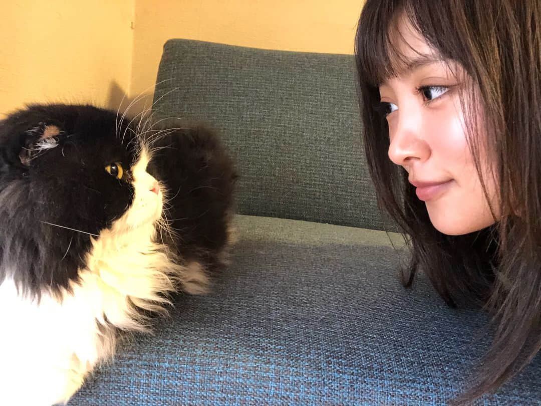 夏菜さんのインスタグラム写真 - (夏菜Instagram)「まると見つめあってたらこむぎが間に入ってきて逃げるくろまる。笑 😂😂😂😂」2月3日 21時00分 - natsuna_official