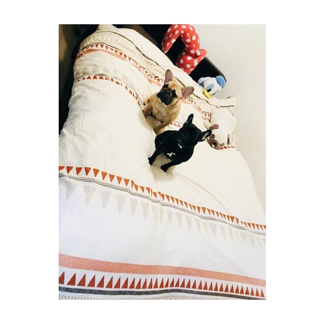 RENA（久保田玲奈）さんのインスタグラム写真 - (RENA（久保田玲奈）Instagram)「‪アスリートは睡眠が大事‼️‬ ‪ってことで奮発して‬‪シモンズの広いベッド購入❤️‬ ‪ これでのびのび寝れるね👩‍👧‍👦💓‬」2月3日 17時18分 - sb_rena