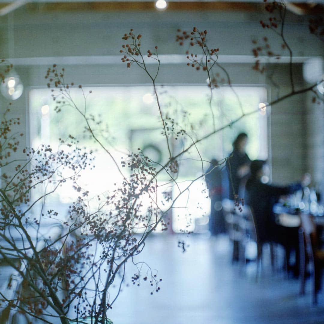 ゆうゆのグルメインスタ