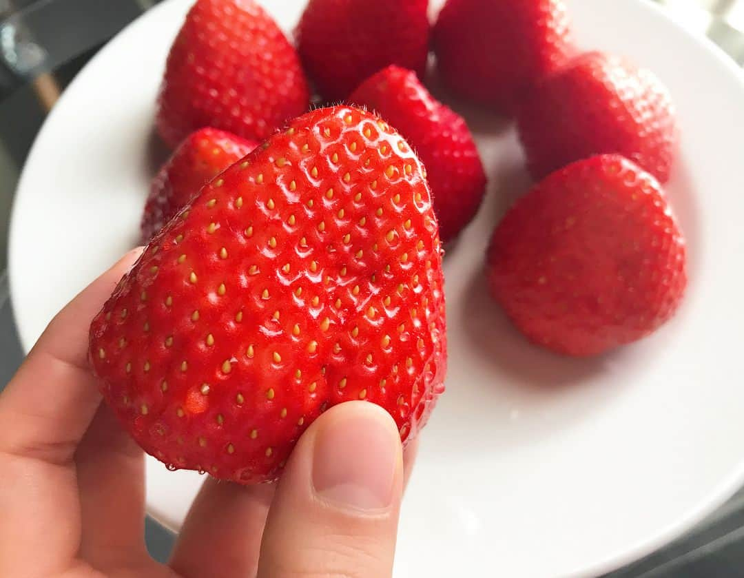 絢香さんのインスタグラム写真 - (絢香Instagram)「朝のフルーツ イチゴ🍓 #毎朝食べる #イチゴ大好き #strawberry #小さい頃から大好きで #妹と取り合いだった 笑 #このイチゴとにかく大きい🙄 #仙台 #今日もライブ頑張ります」2月4日 8時58分 - ayaka_official_jp