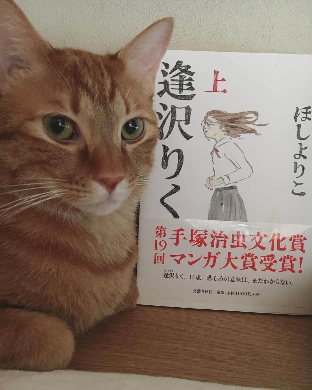のインスタグラム：「ぼくのシールの本は、 おかーさんが いっしょうけんめい つくってますから そのあいだに ぼくのだいすきな あいざわりく、 を 読みたいとおもいます。 これはじょうかんですが もちろんげかんも もっています。 むねがきゅっとして せつなくてやさしい りくちゃん。 ぼくはりくちゃんの 気持ちがわかる。 ぼくのちゅーるをそっと あげたい。 #ハニオ日記  #ハニオ図書館」