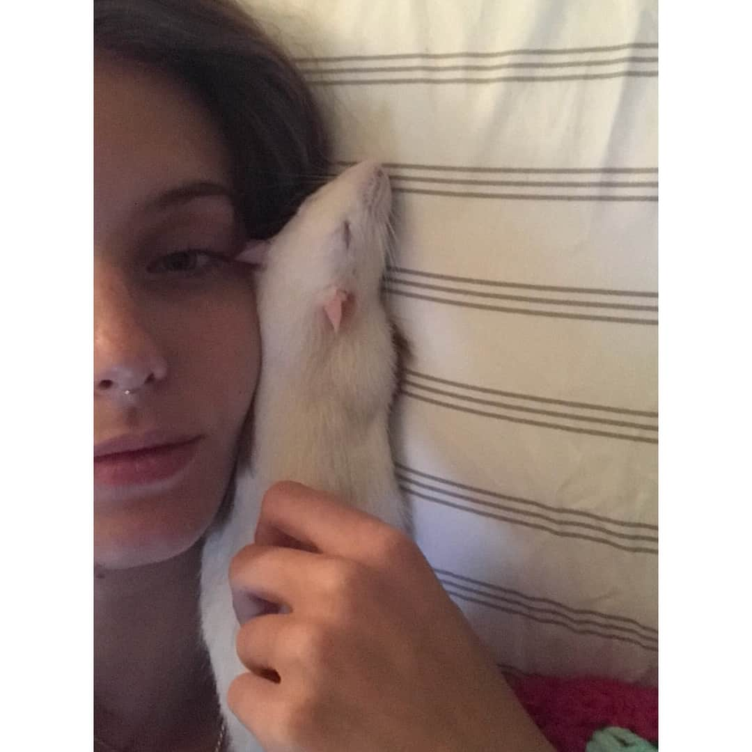 Breonne Rittingerさんのインスタグラム写真 - (Breonne RittingerInstagram)「One year ago today Bayard was born to join the other 100 million + rats in labs across the world. He was never meant to be loved, yet he is so loving. But who would had taken the time out to know that in a lab? I know he would love to use his birthday message to help save all those who were in the same place he was only one year ago. You hear or see daily that adorable animal the needs a home, but how often is it a rat? Almost guarantee you've never seen that. Even though 99,940,000 more rats are used in labs then dogs. Bayard wags his tail. Bayard licks you with his pink tongue. Bayard falls asleep in your lap. What's the difference? His protection. Rats are not covered under the Animal Welfare Act. So pretty much any cosmetic company or drug company can use him without punishment or care. It's purely INSANE! I stand against animal testing. I stand with all the animals not getting a chance in labs. I stand with my baby boy, Bayard. The day I rescued Bayard and his siblings  from the lab will forever be the hardest/best day of my life. I saw the reality of animal cruelty, but I gained the sweetest and most affectionate living thing I have ever been blessed to meet. He may be blind, but he opened my eyes and I couldn't be more thankful for him. With that, Happy Birthday Bayard. I can’t wait to spend the rest of your life with you. And thank you... #bayard #rat #ratsofinstagram #happybirthday #oneyearold #crueltyfree #endanimaltesting #imwithbayard」2月5日 5時12分 - breonnecowan