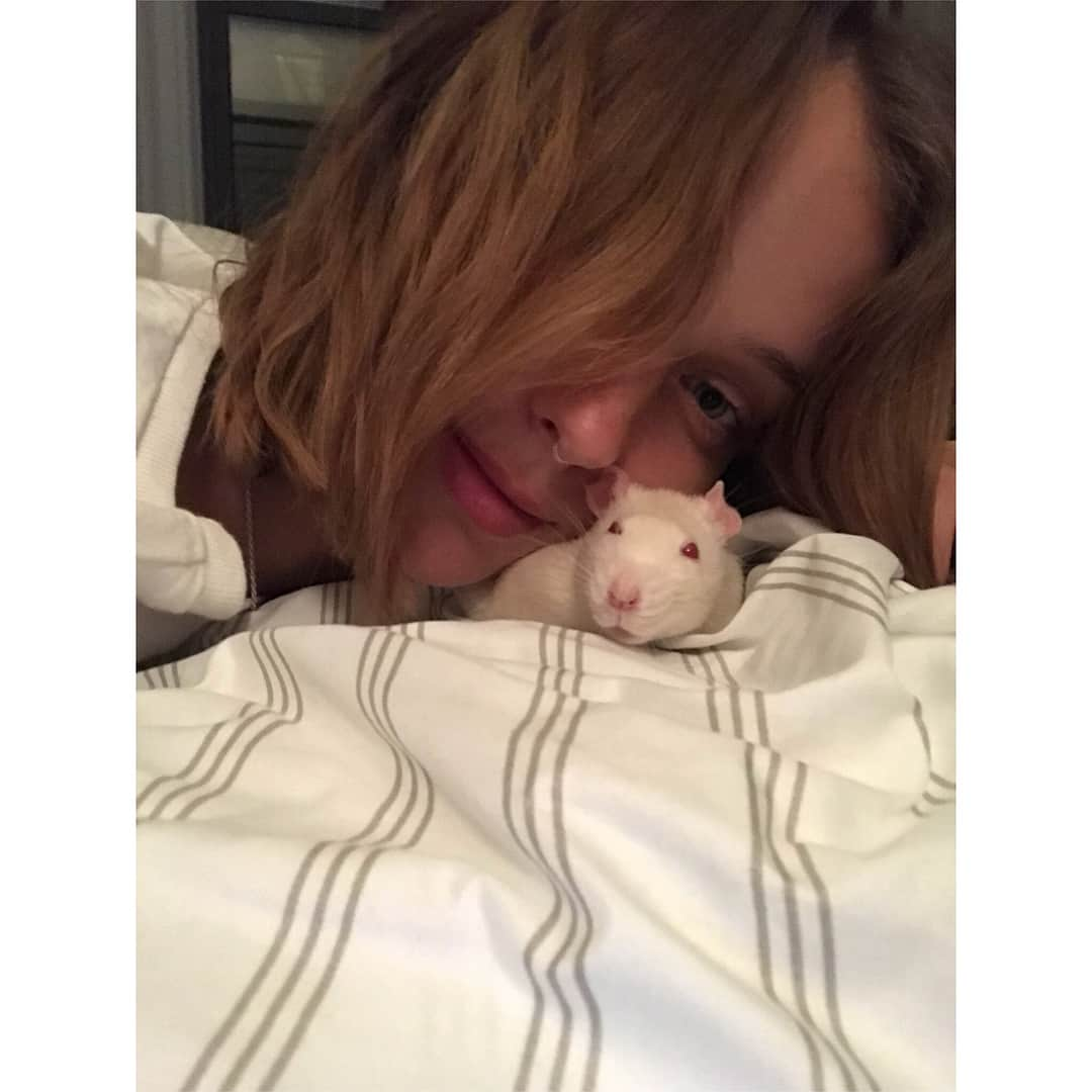 Breonne Rittingerのインスタグラム：「One year ago today Bayard was born to join the other 100 million + rats in labs across the world. He was never meant to be loved, yet he is so loving. But who would had taken the time out to know that in a lab? I know he would love to use his birthday message to help save all those who were in the same place he was only one year ago. You hear or see daily that adorable animal the needs a home, but how often is it a rat? Almost guarantee you've never seen that. Even though 99,940,000 more rats are used in labs then dogs. Bayard wags his tail. Bayard licks you with his pink tongue. Bayard falls asleep in your lap. What's the difference? His protection. Rats are not covered under the Animal Welfare Act. So pretty much any cosmetic company or drug company can use him without punishment or care. It's purely INSANE! I stand against animal testing. I stand with all the animals not getting a chance in labs. I stand with my baby boy, Bayard. The day I rescued Bayard and his siblings  from the lab will forever be the hardest/best day of my life. I saw the reality of animal cruelty, but I gained the sweetest and most affectionate living thing I have ever been blessed to meet. He may be blind, but he opened my eyes and I couldn't be more thankful for him. With that, Happy Birthday Bayard. I can’t wait to spend the rest of your life with you. And thank you... #bayard #rat #ratsofinstagram #happybirthday #oneyearold #crueltyfree #endanimaltesting #imwithbayard」