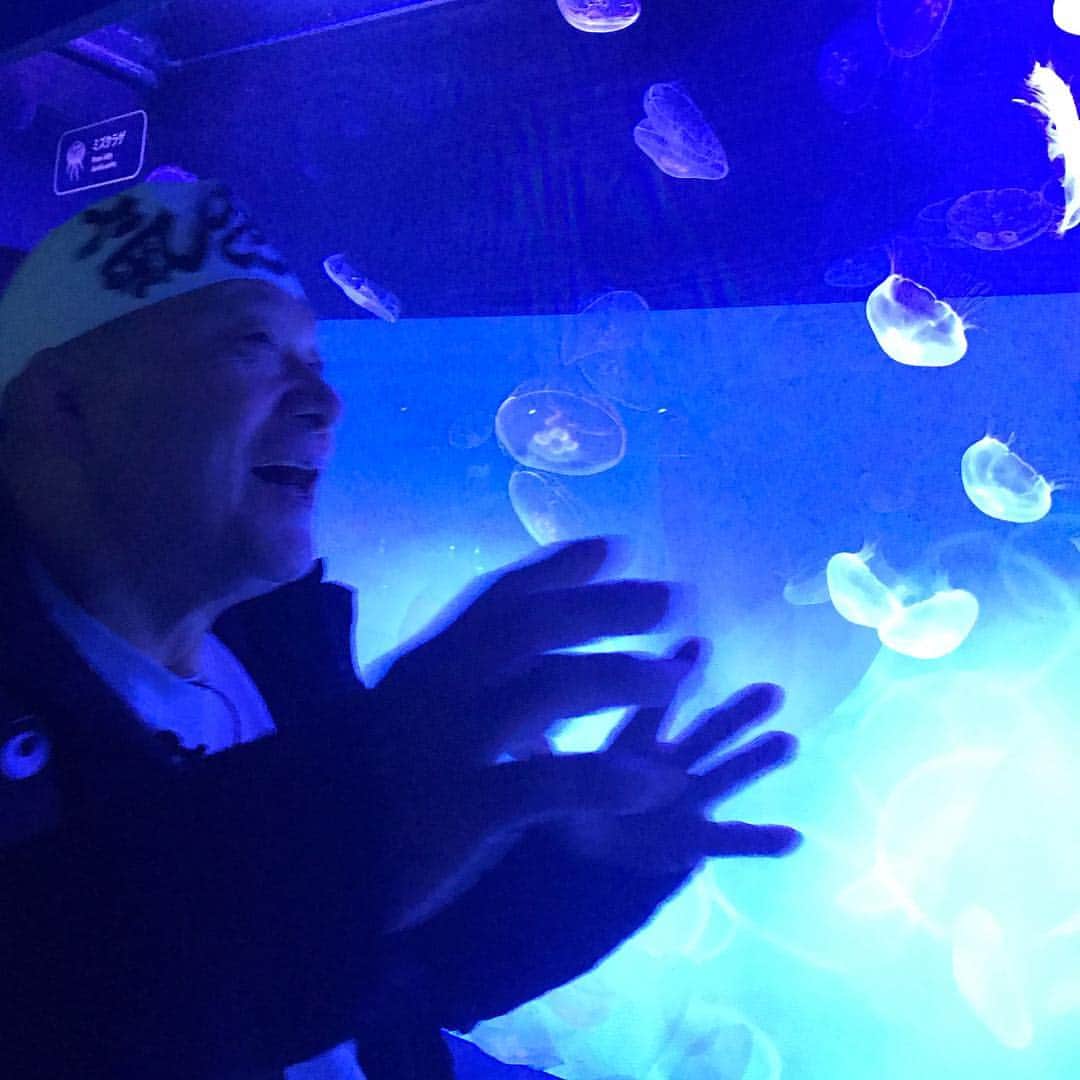 アニマル浜口のインスタグラム：「#すみだ水族館」