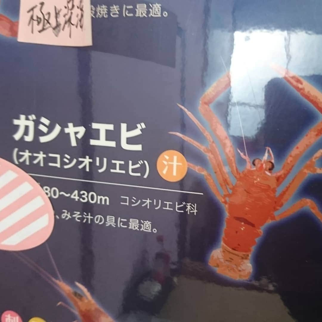 松本康太さんのインスタグラム写真 - (松本康太Instagram)「『特上深海魚天丼』高足ガニでお出汁をとってる甘ダレが最高(*^O^*)♪深海魚グルメ♪ガシャエビ&メギス&トロボッチ♪全て臭みが無くて美味しかった！  #深海魚 #深海魚料理 #天丼 #魚重食堂 #ガシャエビ #メギス #トロボッチ #天ぷら #レギュラー松本 #あるある探検隊」2月5日 16時26分 - aruarutankentai.matsumoto