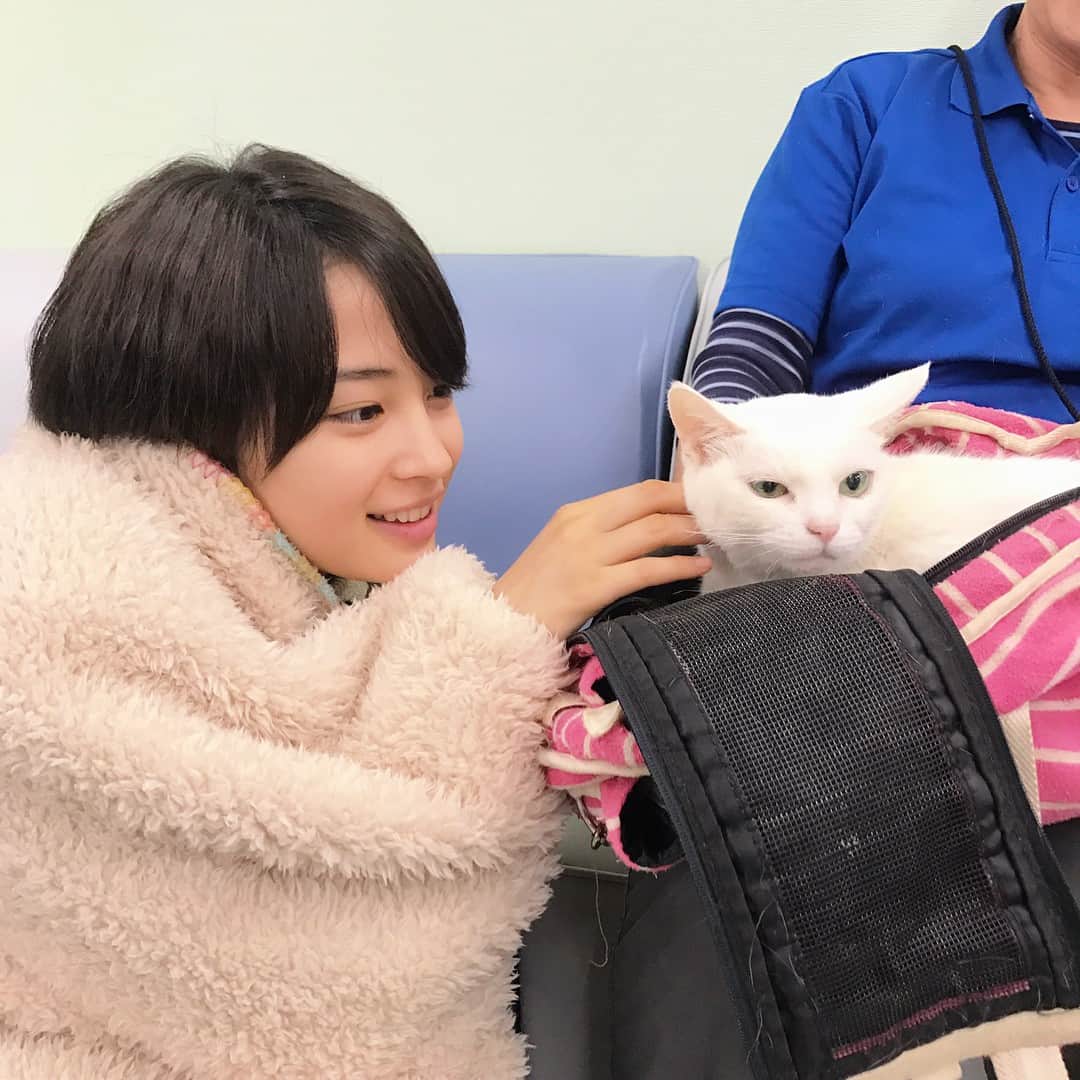日本テレビ「anone」のインスタグラム：「モコモコすず☺️猫のあなごちゃんとのひと時です🐈明日は8話放送ですよー！とにかく色んなことがものすごく動く見逃せない回👀✨ #anone #あのね #日テレ #水ドラ #広瀬すず #撮影はラストスパート突入 #8話から怒涛の展開 #そんな中癒しのあなご #あなごいるとみんな笑顔なるから不思議 #あのちゃんのいない時にこっそり #再び浮気すず」