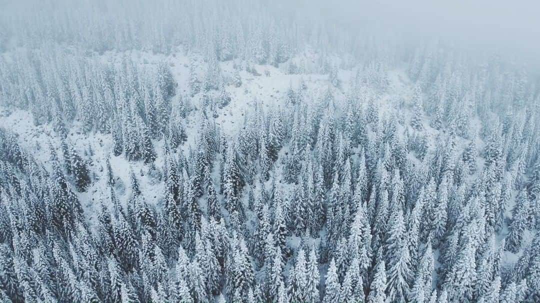 Kyle Kuiperのインスタグラム：「Winter Wonderland in Western Washington ❄️」